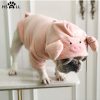 HSWLL  Spring and Autumn New Pig Sweater Pig Years Creative Pet Clothes Cat Clothes Small Dog French Bulldog