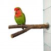 Hamster Branch Pet Budgie Hanging ToyPerches For Bird Cage Pet Parrot Raw Wood Fork Perches Stand  Tree Branch Stand Rack Toy