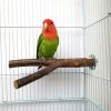 Pet Parrot Raw Wood Fork Perches Stand  Tree Branch Stand Rack Toy Hamster Branch Pet Budgie Hanging ToyPerches For Bird Cage