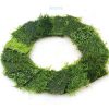 Free Shipping Alive Aquascape Moss Aquascape fish tank aquarium plants  Moss  set 8X8 CM aquarium plants decoration