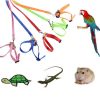 Pet Parrot Traction Strap Pet Anti-bite Training Rope Outdoor Rope Pet Leash Adjustable Bird Harness For Hamster, Lizard