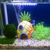 Fish Tank Aquarium Decor For SpongeBob & Squidward House Pineapple Cartoon Home Ornament Accessory